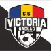 Intalnirea noii conduceri a Clubului Sportiv Victoria Nadlac cu parintii copiilor inscrisi la sectia de fotbal si cu consilierii locali